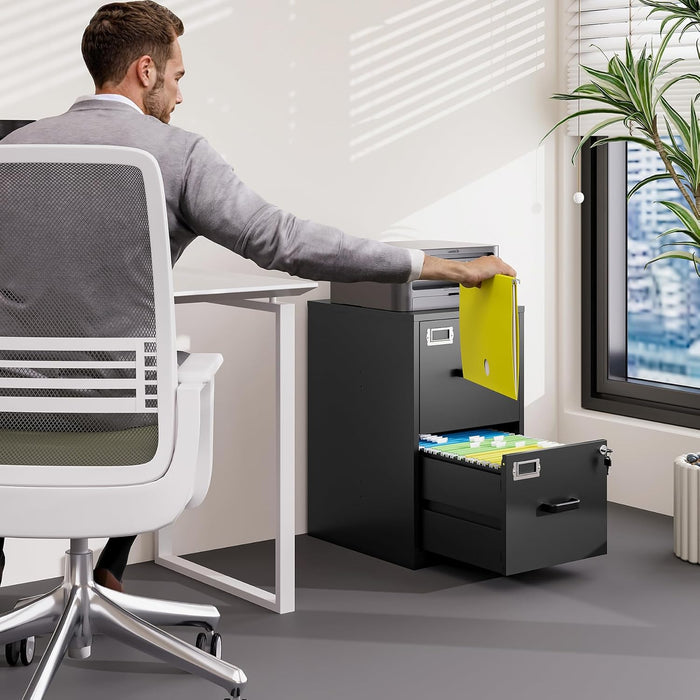 2 Drawer File Cabinet with Lock Vertical Filing Storage Cabinet Office Home Steel Vertical File Cabinets for Letter Size File Cabinet Locked,Assembly Required
