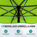 10 FT Outdoor Patio Umbrella, Patio Table Umbrella with Push Button Tilt and Crank, Outdoor Patio Umbrellas with 8 Fiberglass Ribs, Patio Umbrellas for Market, Garden, Pool (Apple Green)