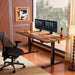 Height Adjustable Electric Standing Desk, 55 X 28 Inches Sit Stand up Desk, Memory Computer Home Office Desk, Vintage Brown