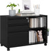 3 Drawer File Cabinet with Lock, Metal Lateral Rolling Printer Stand Office Storage Filing Cabinets for Home Office,A4, Letter,File Folders(Black)