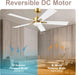 Smart 52 Ceiling Fan DC Motor Advanced Lighting