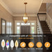 Gold Finish 4 Light Industrial Farmhouse Chandelier