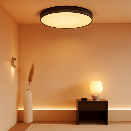 12-Inch Alabaster Flush-Mount Ceiling Light with Remote, Modern Black Spanish Marble LED Ceiling Light Fixture, ETL Listed, Stepless Dimmable 2700K–5000K with Memory for Bedrooms and Hallways