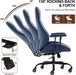 Blue Ergonomic Executive Chair With Lumbar Support