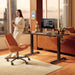 Standing Desk 48 × 24 Inch Electric Height Adjustable, Black Walnut