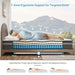 Queen Mattress 10 Inch Hybrid Mattress in a Box, Medium Firm Queen Size Bed Mattresses with Zoned Support, Memory Foam and Pocket Springs for Motion Isolation&Pressure Relief, Certipur-Us