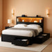 Queen Storage Bed Frame with 6 Drawers, USB Charging Station, No Noise, No Box Spring Required, Vintage Black Headboard Platform Bed