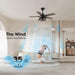 42 Inch Ceiling Fans with Lights and Remote Control, Ceiling Fan for Bedroom Living Room and Patio, Caged Ceiling Fan for Indoor and Outdoor