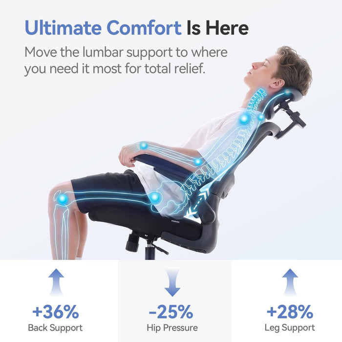 M102 Pro Ergonomic Office Chair, 3D Dynamic Lumbar Support, Black