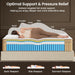14 Inch Medium Firm Queen Hybrid Mattress with Zoned Support