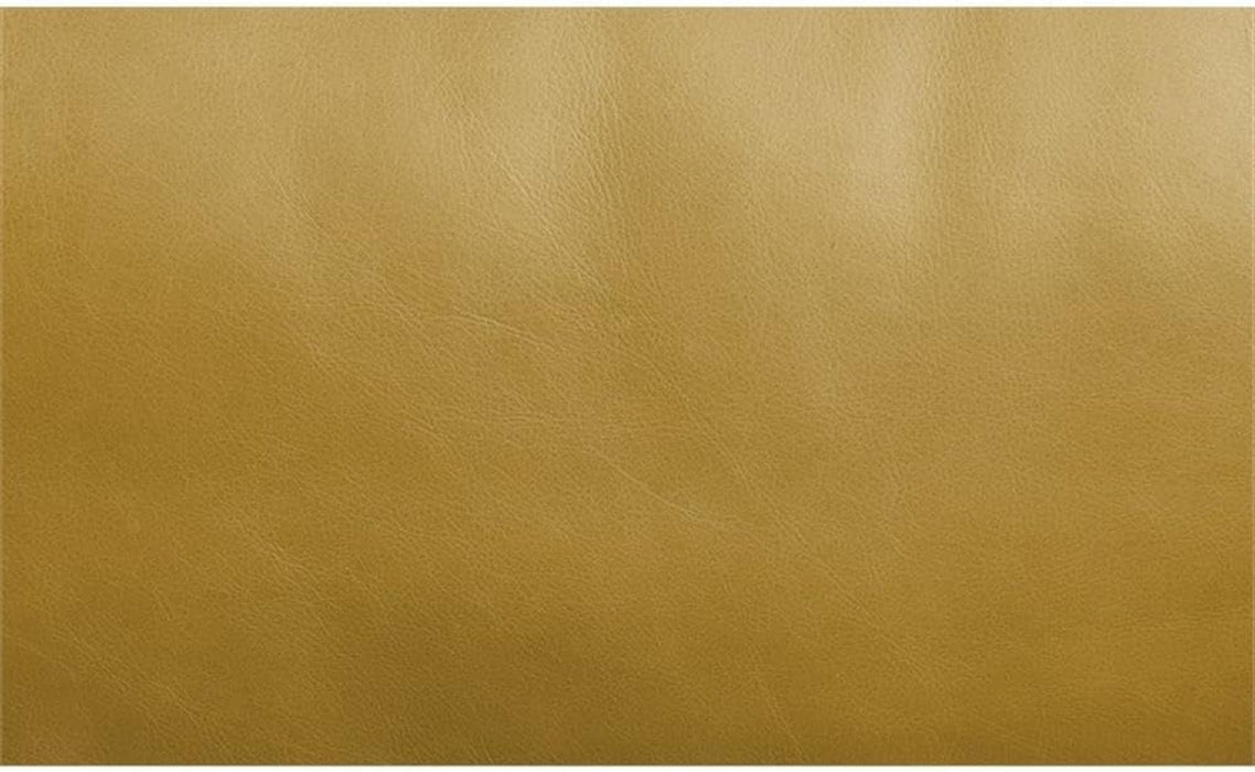 Radia Sofa with Pillow in Yellow Turmeric Top Grain Leather