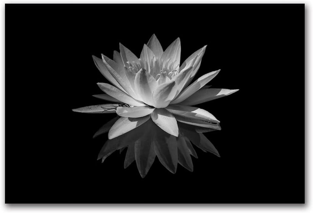 White Lotus Flower Canvas Print Zen Pictures Wall Art Decor Black and White Floral Painting Decor Frame Ready to Hang (Black and White Lotus Flower - 5, 8"X10"(20X25Cm))