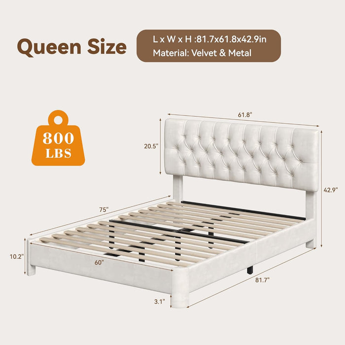 Queen Bed Frame, Velvet Fabric Upholstered Platform Bed with Button Tufted Headboard, Strong Wooden Slats Support, Noise Free, Easy Assembly, Adjustable Headboard, No Box Spring Needed, Beige | Plush Velvet, Varied Fit, Velero Design, Rounded Legs