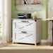2 Drawer Lateral File Cabinet WhiteLockingSystemA4
