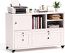 2 Drawer Mobile File Cabinet with Lock,Metal Lateral Filing Cabinet with Shelves,Printer Stand with Storage