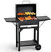 Charcoal Grills with Two Side Tables, 332 SQIN Cooking Area Outdoor Smoker Barbecue Bbq Grill for Camping, Patio,Backyard Party, Picnic, Black