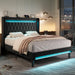 Upholstered Full Size Platform Bed Frame with LED Light and Charging Station, Button Tufted High Headboard, Wingback Design, Noise Free, Easy Assembly, No Box Spring Needed, Black