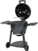 ® AKORN® Kamado Charcoal Grill and Smoker with Cast Iron Grates, Warming Rack and Locking Lid with 445 Cooking Square Inches in Graphite, Model E16620