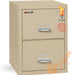 Fireproof Vertical File Cabinet (2 Letter Sized Drawers, Impact Resistant, Water Resistant), 27.75" H X 17.75" W X 25.06" D, Parchment