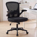 Office Chair, Ergonomic Desk Chair with Adjustable Lumbar Support and Flip up Armrest, Breathable Mesh Computer Chair for Home Office & Rolling Work Swivel Task Chairs