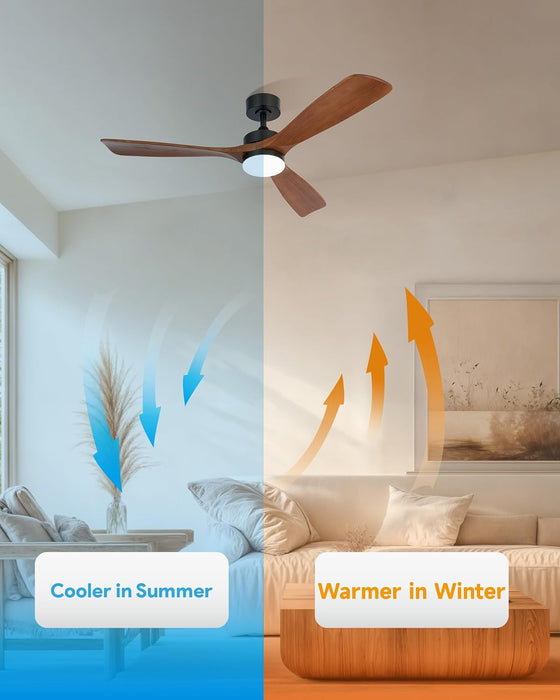 Contemporary Walnut 52 Inch Reversible Ceiling Fan