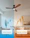 Contemporary Walnut 52 Inch Reversible Ceiling Fan