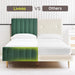 Queen Size Elton Velvet Platform Bed, Upholstered Bed Frame with Vertical Channel Tufted Headboard Footboard, Strong Wood Slats, No Box Spring Needed, Green (Queen)