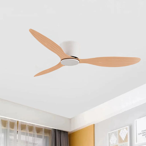 -Ceiling Fans with Remote Control, Low Floor DC Motor, Simple Fan without Light, Home Fan Voltage 90-260V, 30W