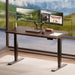Solid Bamboo Dual Motor Standing Desk, 220 Lbs, 48×24
