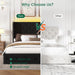 Queen Size Bed Frame with LED Lights and 4 Storage Drawers Velvet Upholstered Platform Bed Frame with Tufted Headboard Wingback, No Box Spring Needed, Easy to Assemble, Black