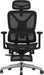 FLEXISPOT Ergox Premium Ergonomic Office Chair Black-Ft