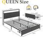 Queen Bed Frame with Charging Station, LED Lights, 2 Drawers, Rustic Grey