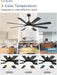 Precision Engineered Energy Efficient Black Ceiling Fan