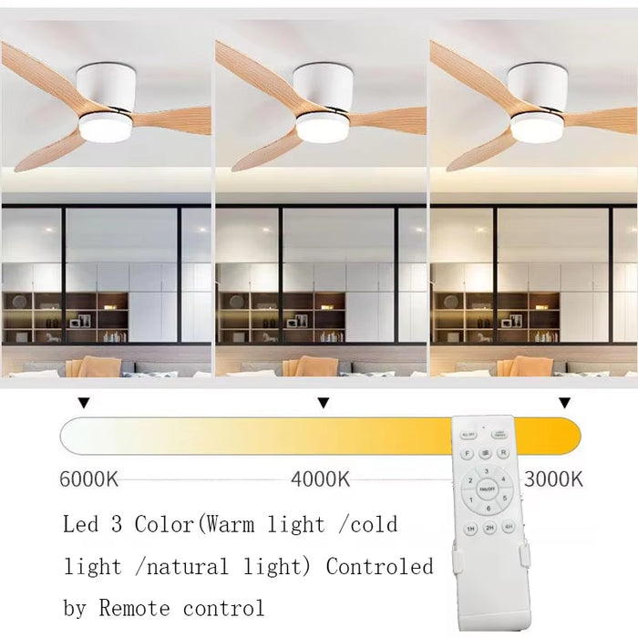 Modern Led Ceiling Fan without Lights DC Motor 6 Speeds Timing Fans 20CM Low Floor Loft Remote Control Lux&Vitae Fan with Lights