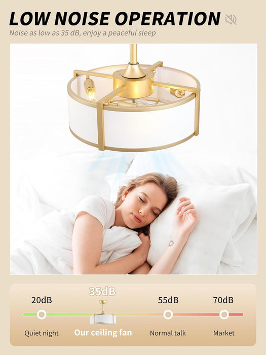 20" Caged Ceiling Fans with Lights, Gold Fandelier Ceiling Fan with Light, Boho Chandelier Fan Remote Control, 6 Speeds for Bedroom, Nursery, Living Room