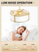 20" Caged Ceiling Fans with Lights, Gold Fandelier Ceiling Fan with Light, Boho Chandelier Fan Remote Control, 6 Speeds for Bedroom, Nursery, Living Room