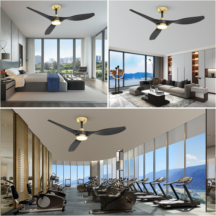 Ceiling Fans with Lights and Remote, 52 Inch Large Airflow Indoor Ceiling Fans with Quiet DC Motor and 3 Colour Temperature Black Noiseless Attractive Design (Black-Gold)