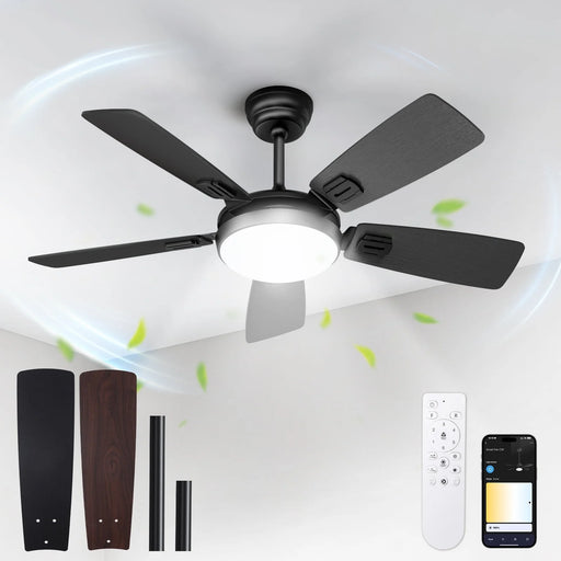 BLITZWIL Ceiling Fans with Lights and Remote & App Control, 42" Modern Ceiling Fan with 5 Dual-Sided Blades, 6-Speeds Noiseless Reversible DC Motor for Farmhouse Bedroom Indoor, Black