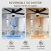 42" RGB Ceiling Fans with Lights, Low Profile Ceiling Fan with Light, RGB+3CCT 6 Wind Speeds, App & Remote Control, Flush Mount LED Fan Light, Fandelier Ceiling Fan for Bedroom, Living Room