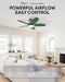 ThirtySixInch Ceiling Fan With Remote Reversible Motor