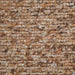 Low Profile Walnut Fabric Accent Chairs Collection