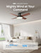 Ceiling Fans with Lights, 12 Speeds & 3 Fan Modes, Quiet DC Motor, Low Profile Easy to Install, Flush Mount Smart Ceiling Fan with Dimmable LED, 12H Timer for Bedroom, Remote, Black, 44''