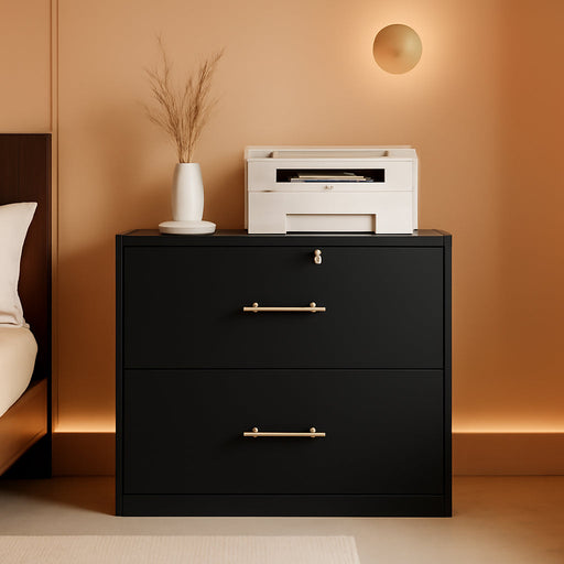 2 Drawer Lateral File Cabinet with Lock, Suitable for Letter/A4/F4/Legal Size Hanging Files,Large Wood Filing Storage Cabinets Printer Stand for Home Office,Black