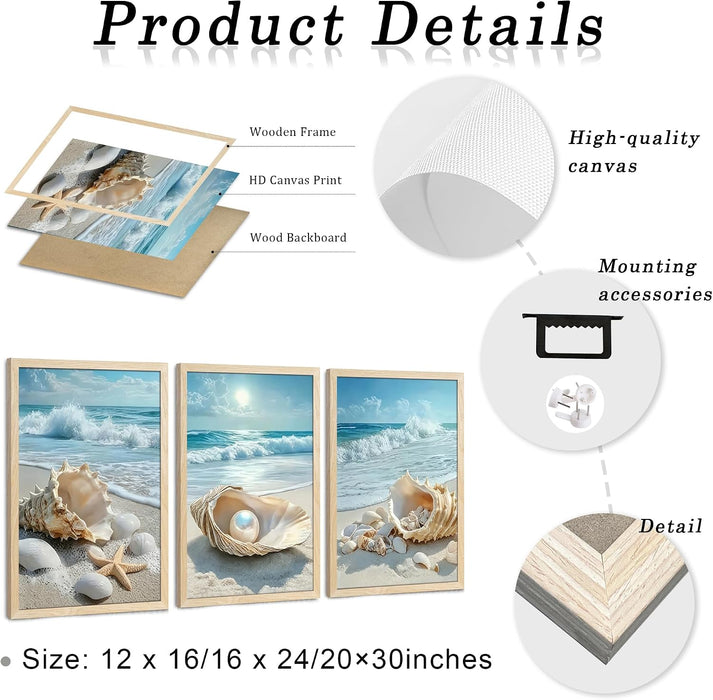 Triptych Coastal Shell Pearl Framed Canvas Wall Art 20X30 Inch X3 | Wooden Frame, Uv-Resistant Ink, Giclée Printing Process, Pre-Installed Hooks Make It Easy to Hang Home or Office Wall Decor