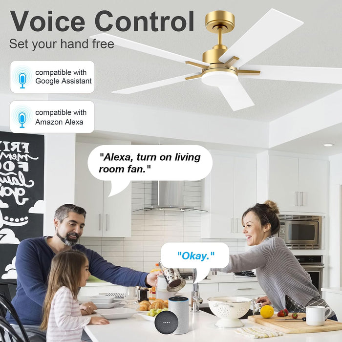 Smart 52 Ceiling Fan DC Motor Advanced Lighting