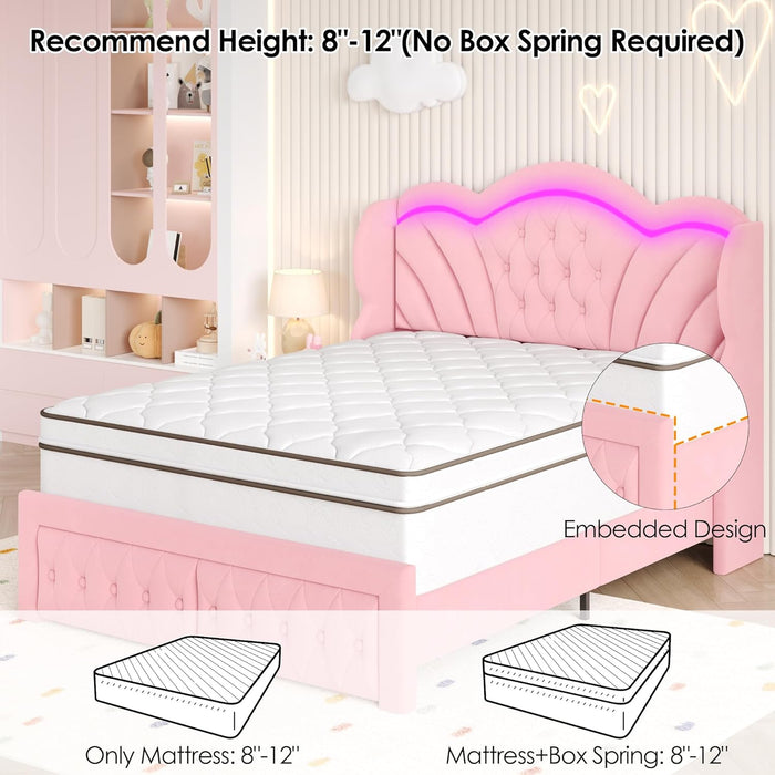 Full Bed Frame with LED Lights and 2 Storage Drawers, Velvet Upholstered Platform with 47" Tall Arc-Shaped Wingback Headboard and Button Tufted Design, No Box Spring Needed, Noise-Free, Pink