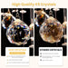 Clear Crystal Chandelier Large Spiral Raindrop Light