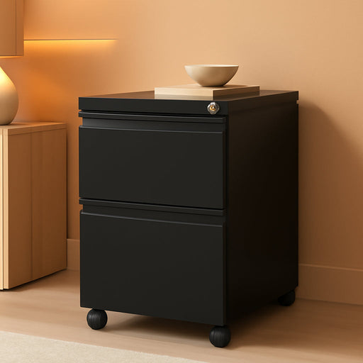 2 Drawer File Cabinet on Wheels, Home Office Mobile under Desk with Lock, Vertical Files Drawers for Legal/Letter/A4,Fully Assembled