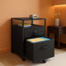 Rolling Mobile File Cabinet W/ 2 Drawers & Open Shelf, Black