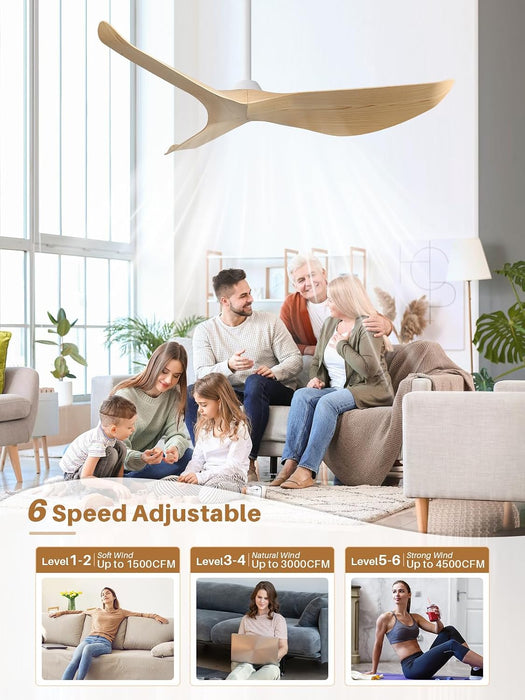 Contemporary 52 Inch Silent Reversible Ceiling Fan
